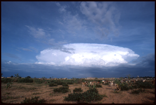 MAJESTUEUX-Toubatoul