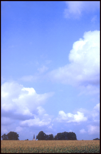 Clocher au champ de ble-Mont-de-Marsan