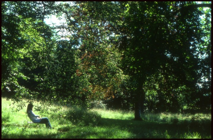 Flo à Beauchamps en Argonne