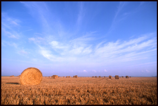 Meules de foin-Beauce