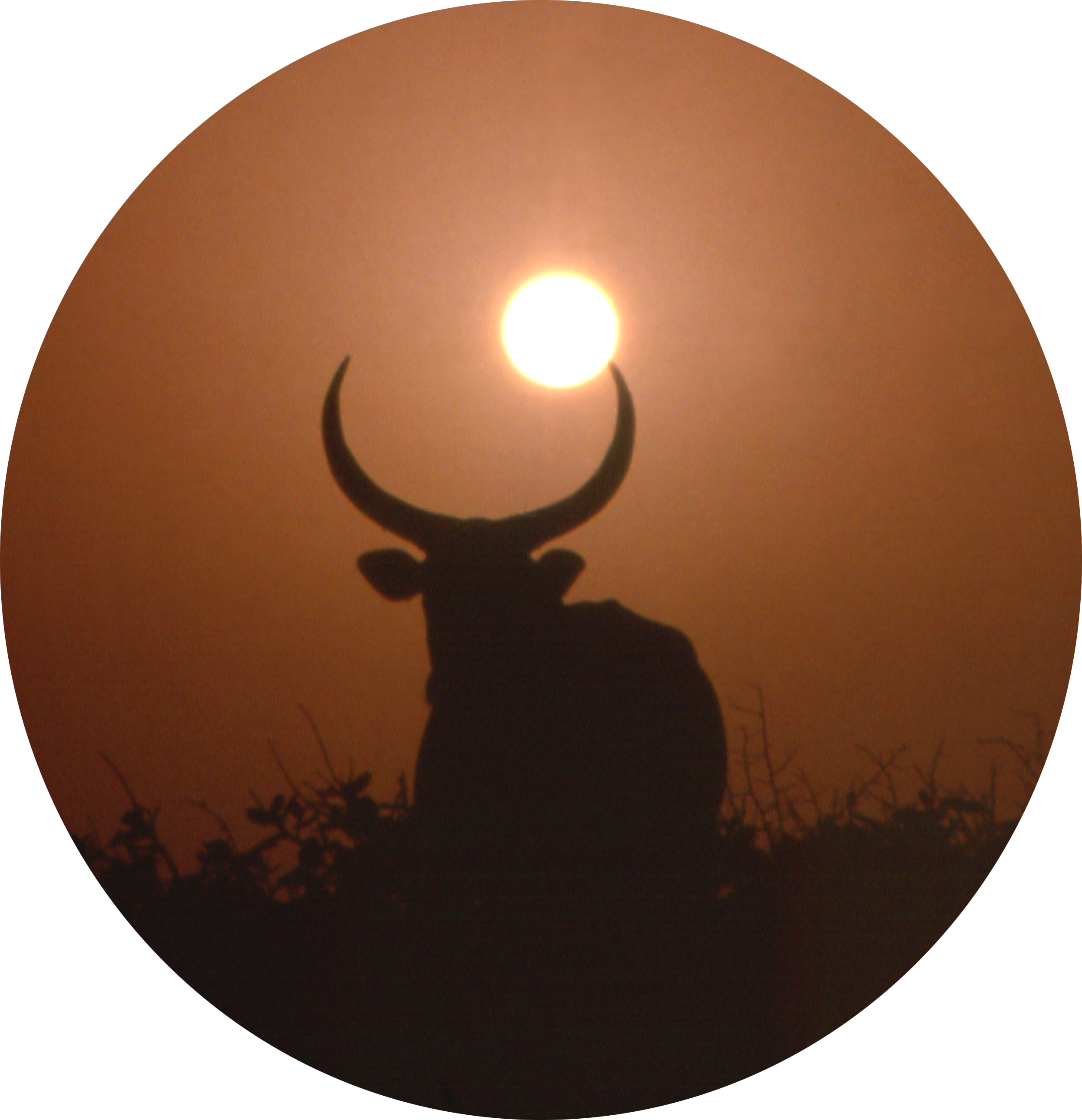 mis-en-scene-soleil-coucher