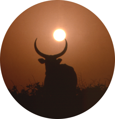 mis-en-scene-soleil-coucher