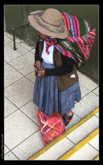 Arequipa, villageoise au Mercado, le 6 novembre 2017 copie