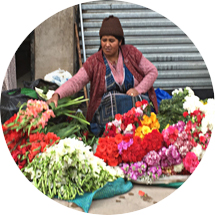 Avatar femmes marchandes