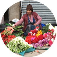 Avatar femmes marchandes