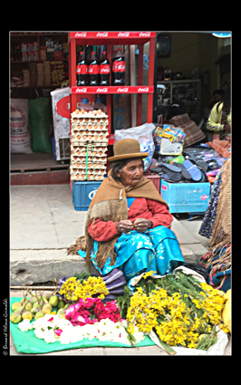 Bolivie, Copacabana marché aux fleurs 2, le 12 novembre 2017