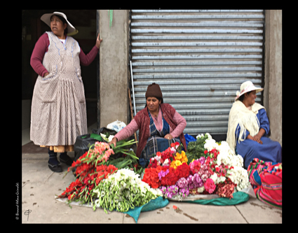 Bolivie, Copacabana marché aux fleurs1, le 12 novembre 2017 copie