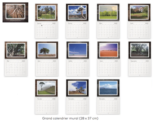CCalendrier arbres 90dpi