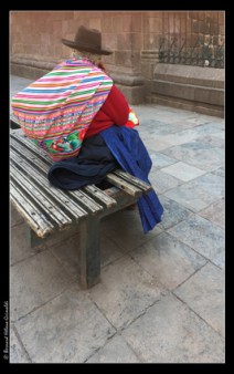 Cusco, Plaza de Arma, bouquet à vendre...le 11 novembre 2017