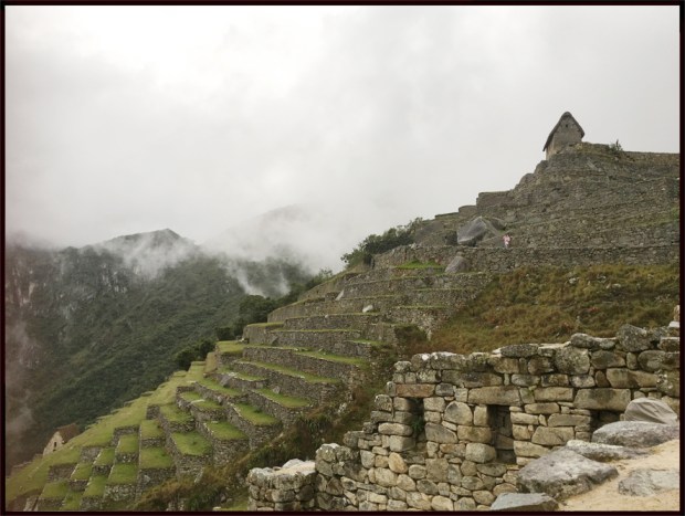 Toiture refaite profane, contre-plongée