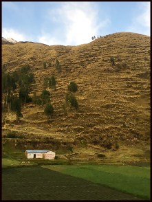 2-Arequipa->Cusco-4 résineux