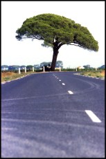 En revenant de chez Christian.Herault.2004