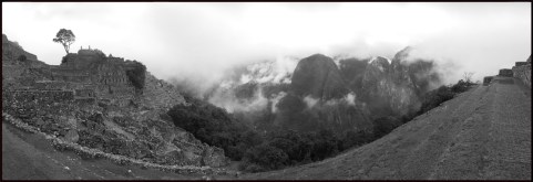 Panoramique arbre au sommet-N&B