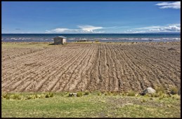 Titicaca vers Puno3