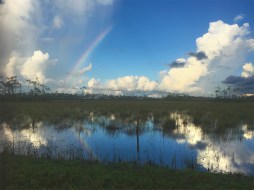 Everglades,rainbow